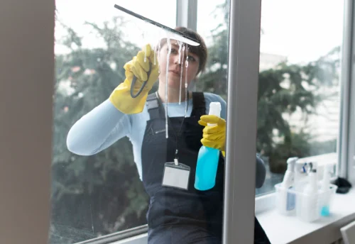 Nettoyage de vitres intérieures et extérieures à Saint-Laurent-des-Vignes